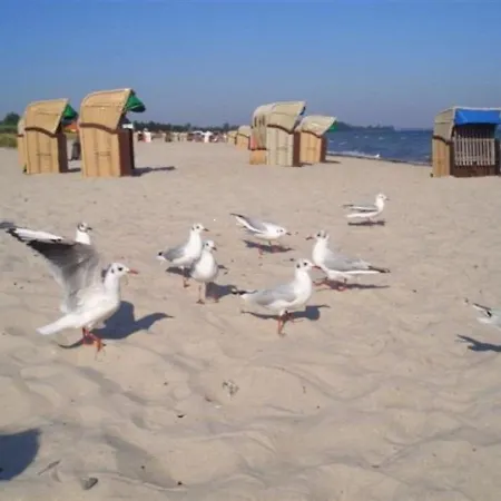 Smucke Stuuv I Lyksborg