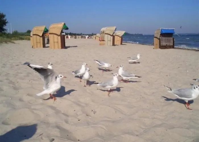 Smucke Stuuv I Glücksburg